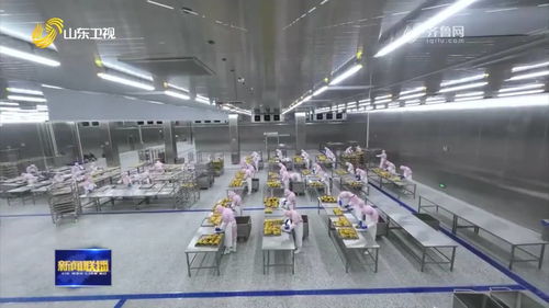 聊城烤鴨 首飛 歐洲 特色農(nóng)產(chǎn)品國際 朋友圈 不斷擴大