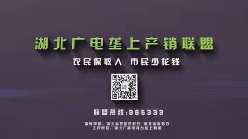壟上產(chǎn)銷(xiāo)聯(lián)盟做媒，耶盟廣告聯(lián)盟助力三款產(chǎn)品引爆武漢市場(chǎng)